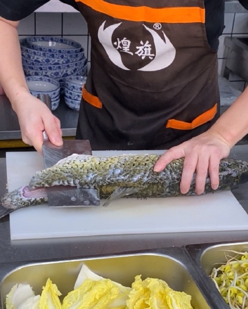石锅鱼食材处理