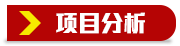 项目分析