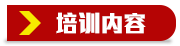 培训内容