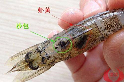 虾沙包是什么